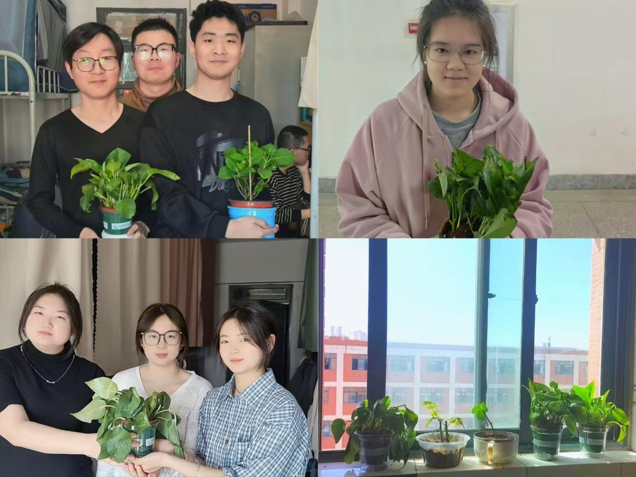 zoty中欧举办“美美‘寓’共・绿意润心”宿舍绿植领养活动